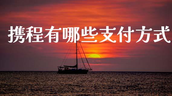 携程有哪些支付方式_https://wap.jnbaishite.cn_全球财富_第1张