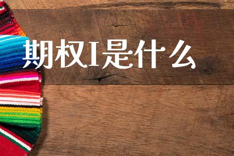期权I是什么_https://wap.jnbaishite.cn_理财投资_第1张