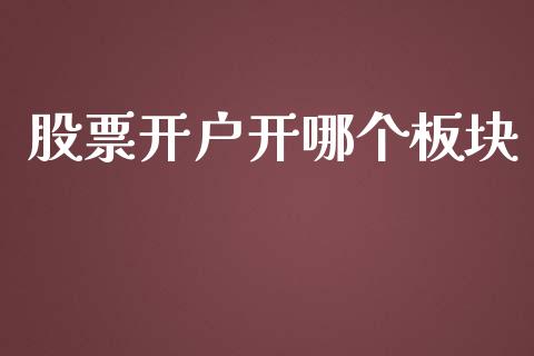 股票开户开哪个板块_https://wap.jnbaishite.cn_金融资讯_第1张