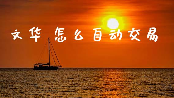 文华 怎么自动交易_https://wap.jnbaishite.cn_全球财富_第1张