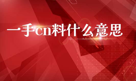 一手cn料什么意思_https://wap.jnbaishite.cn_期货资讯_第1张