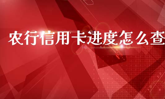 农行信用卡进度怎么查_https://wap.jnbaishite.cn_全球财富_第1张