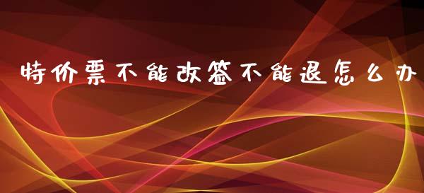 特价票不能改签不能退怎么办_https://wap.jnbaishite.cn_全球财富_第1张