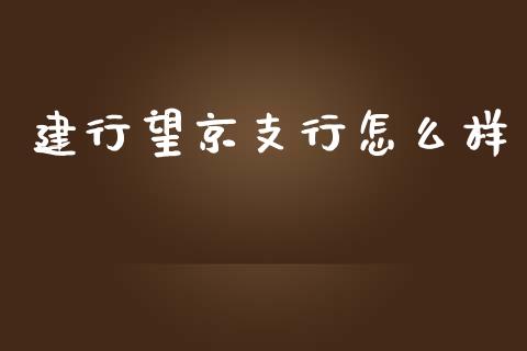 建行望京支行怎么样_https://wap.jnbaishite.cn_理财投资_第1张