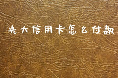 光大信用卡怎么付款_https://wap.jnbaishite.cn_期货资讯_第1张