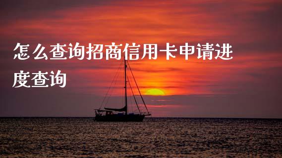 怎么查询招商信用卡申请进度查询_https://wap.jnbaishite.cn_全球财富_第1张