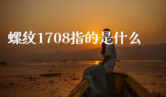 螺纹1708指的是什么_https://wap.jnbaishite.cn_期货资讯_第1张