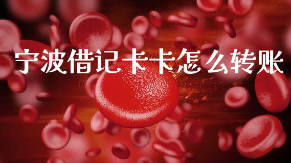 宁波借记卡卡怎么转账_https://wap.jnbaishite.cn_全球财富_第1张