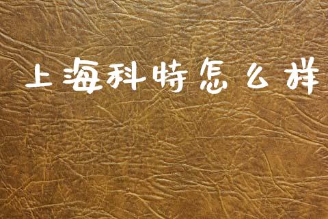 上海科特怎么样_https://wap.jnbaishite.cn_全球财富_第1张