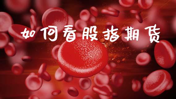 如何看股指期货_https://wap.jnbaishite.cn_期货资讯_第1张