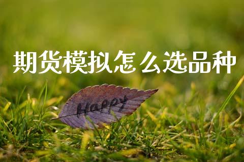期货模拟怎么选品种_https://wap.jnbaishite.cn_全球财富_第1张