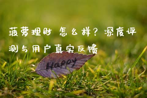 菠萝理财 怎么样？深度评测与用户真实反馈_https://wap.jnbaishite.cn_期货资讯_第1张