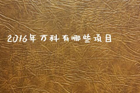 2016年万科有哪些项目_https://wap.jnbaishite.cn_全球财富_第1张