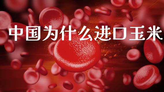 中国为什么进口玉米_https://wap.jnbaishite.cn_理财投资_第1张