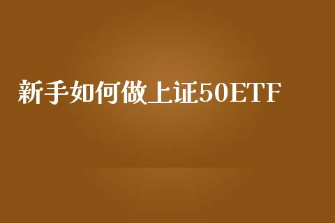 新手如何做上证50ETF_https://wap.jnbaishite.cn_理财投资_第1张