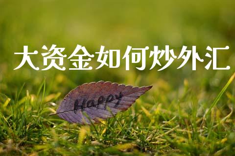 大资金如何炒外汇_https://wap.jnbaishite.cn_期货资讯_第1张