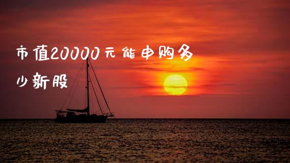 市值20000元能申购多少新股_https://wap.jnbaishite.cn_理财投资_第1张