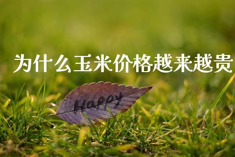 为什么玉米价格越来越贵_https://wap.jnbaishite.cn_全球财富_第1张