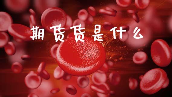 期货货是什么_https://wap.jnbaishite.cn_金融资讯_第1张
