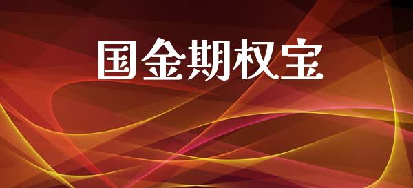 国金期权宝_https://wap.jnbaishite.cn_理财投资_第1张