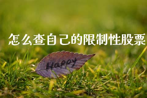 怎么查自己的限制性股票_https://wap.jnbaishite.cn_金融资讯_第1张