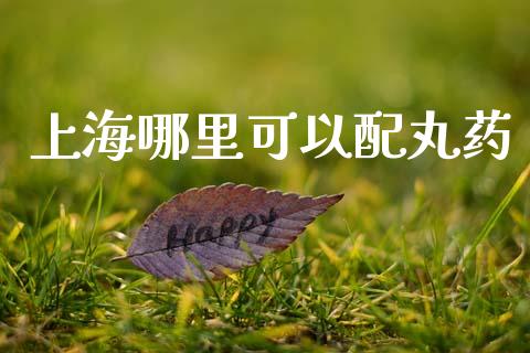 上海哪里可以配丸药_https://wap.jnbaishite.cn_全球财富_第1张