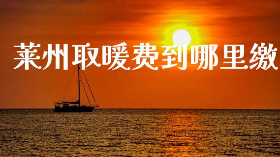 莱州取暖费到哪里缴_https://wap.jnbaishite.cn_理财投资_第1张