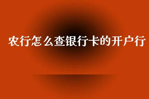 农行怎么查银行卡的开户行_https://wap.jnbaishite.cn_理财投资_第1张