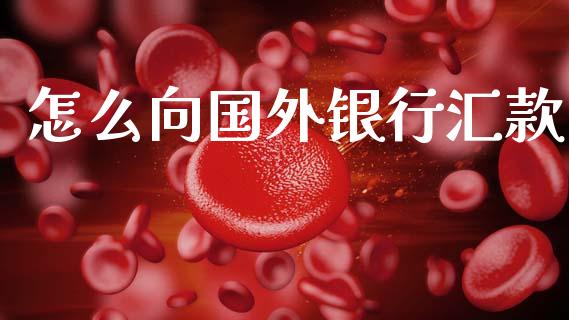 怎么向国外银行汇款_https://wap.jnbaishite.cn_全球财富_第1张