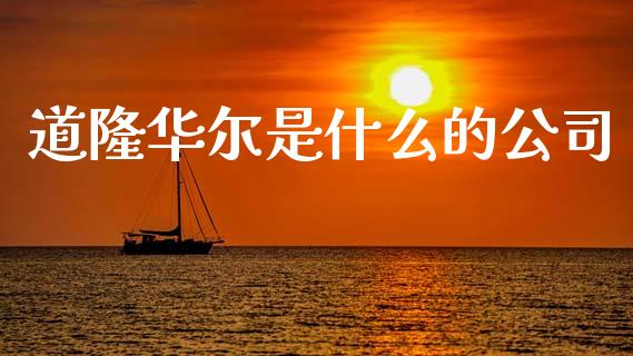 道隆华尔是什么的公司_https://wap.jnbaishite.cn_理财投资_第1张