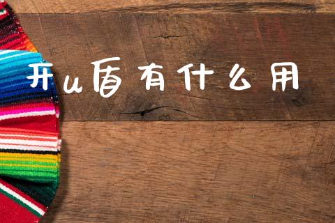 开u盾有什么用_https://wap.jnbaishite.cn_金融资讯_第1张