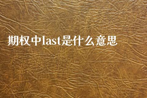 期权中last是什么意思_https://wap.jnbaishite.cn_金融资讯_第1张