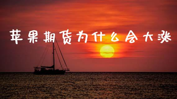 苹果期货为什么会大涨_https://wap.jnbaishite.cn_期货资讯_第1张