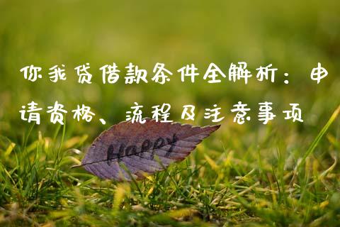 你我贷借款条件全解析：申请资格、流程及注意事项_https://wap.jnbaishite.cn_理财投资_第1张