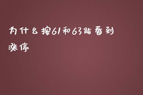 为什么按61和63能看到涨停_https://wap.jnbaishite.cn_理财投资_第1张