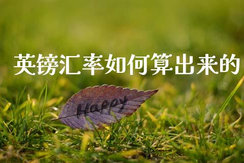 英镑汇率如何算出来的_https://wap.jnbaishite.cn_期货资讯_第1张