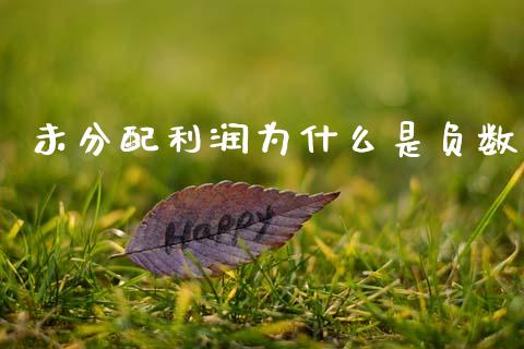 未分配利润为什么是负数_https://wap.jnbaishite.cn_期货资讯_第1张