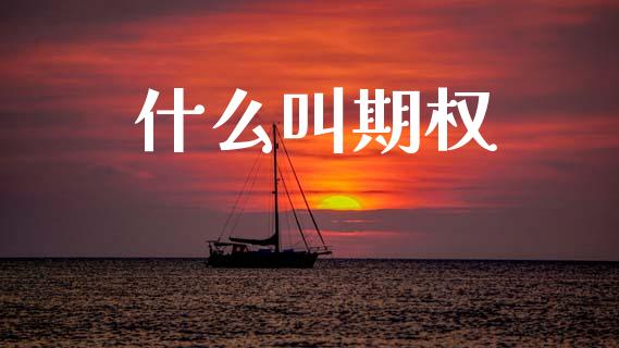 什么叫期权_https://wap.jnbaishite.cn_全球财富_第1张