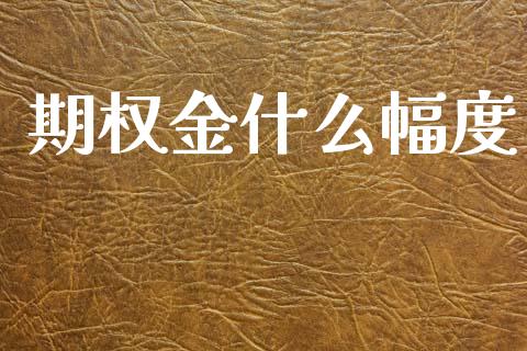 期权金什么幅度_https://wap.jnbaishite.cn_理财投资_第1张