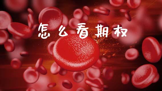 怎么看期权_https://wap.jnbaishite.cn_理财投资_第1张