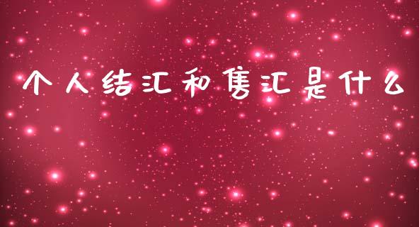 个人结汇和售汇是什么_https://wap.jnbaishite.cn_理财投资_第1张