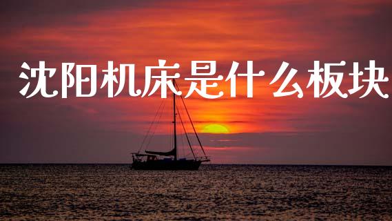 沈阳机床是什么板块_https://wap.jnbaishite.cn_全球财富_第1张