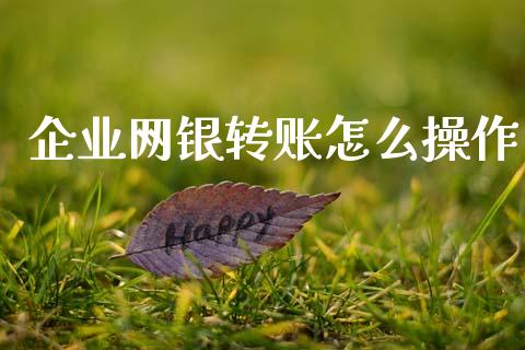 企业网银转账怎么操作_https://wap.jnbaishite.cn_期货资讯_第1张