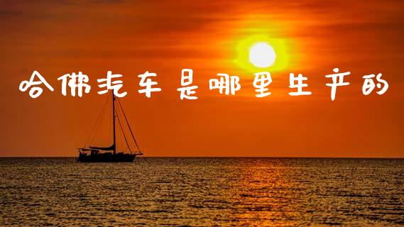 哈佛汽车是哪里生产的_https://wap.jnbaishite.cn_金融资讯_第1张