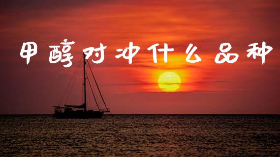甲醇对冲什么品种_https://wap.jnbaishite.cn_理财投资_第1张