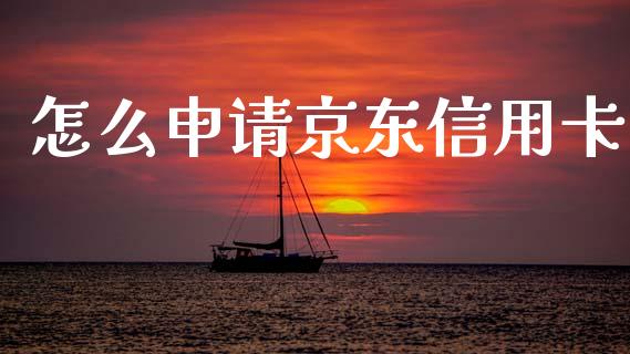 怎么申请京东信用卡_https://wap.jnbaishite.cn_金融资讯_第1张