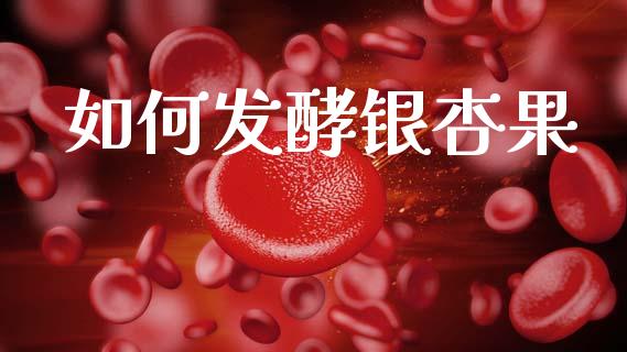 如何发酵银杏果_期货资讯_第1张_全球财富_理财投资_金融资讯_期货资讯 如何发酵银杏果_https://wap.jnbaishite.cn_期货资讯_第1张