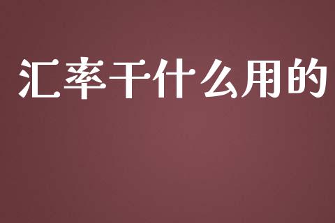 汇率干什么用的_https://wap.jnbaishite.cn_全球财富_第1张