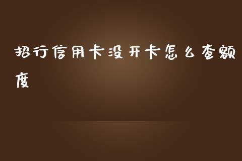 招行信用卡没开卡怎么查额度_https://wap.jnbaishite.cn_理财投资_第1张