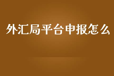 外汇局平台申报怎么_https://wap.jnbaishite.cn_金融资讯_第1张